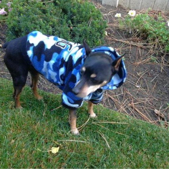 NEW Limited Edition DGG Dog Blue Camo Hoodie M - Picture 9 of 12